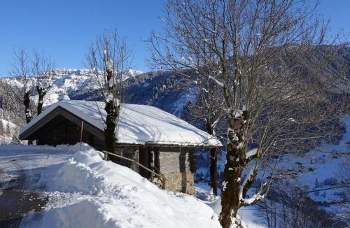 Beaufort Ski Chalet | Chalet 3 pièces, 6 pers, 2 km des pistes, plein sud, internet - FR-1-342-158