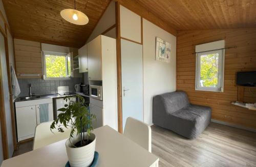 Pierrefitte-sur-Loire House | Chalet au bord de l'eau, terrasse privée, pêche, baignade, nature et détente, animaux acceptés - FR-1-489-359