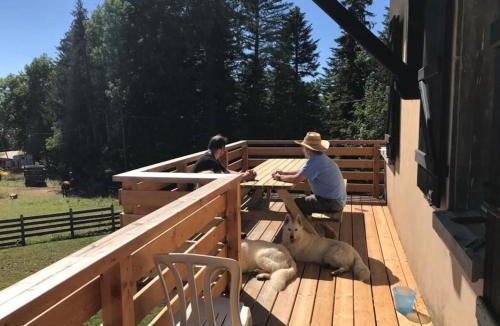 Damprichard Ski Chalet | Chalet les Pounets