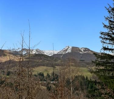 Saint-Jacques-des-Blats Ski Chalet | Chalet Lioran - Vue Plomb du Cantal - Terrasse Plein Sud - 5 pers