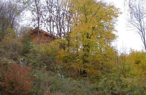 Saint-Martin-la-Sauvete House | Chalet rustique avec poêle à bois - 3 pers, animaux admis - FR-1-496-187