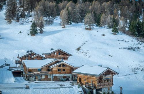 Plagne 1800 Ski Chalet | Chalet spacieux · 7 chambres pour 15 personnes · Animaux acceptés - FR-1-181-2791