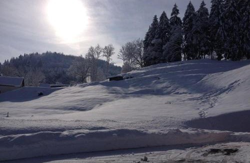 Ferdrupt House | Chalet tout confort avec piscine, terrasse, et sauna privé en montagne - FR-1-589-101