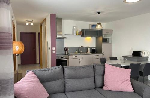 Ferdrupt House | Chalet tout confort avec piscine, terrasse, et sauna privé en montagne - FR-1-589-101