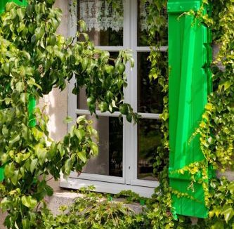 Soulosse-sous-Saint-Elophe Bed & Breakfast | Chambre dHôtes Jolie vache déguisée en fleur