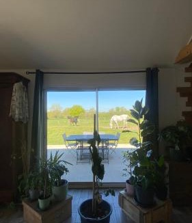 Saligny-sur-Roudon House | Chambre chez l habitant Audrey