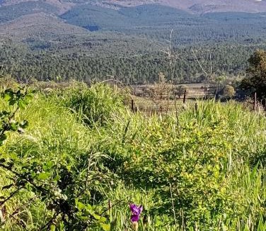 Bedoin Bed & Breakfast | Chambre d'hôtes chez Gwennaelle