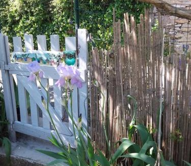 Bedoin Bed & Breakfast | Chambre d'hôtes chez Gwennaelle