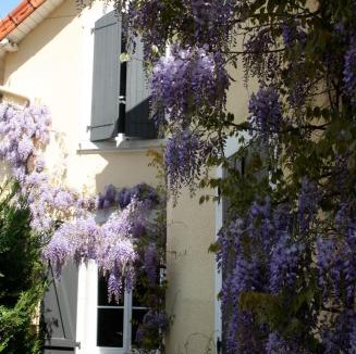 Saint-Jean-Baptiste Bed & Breakfast | Chambre d'Hôtes La Villa Molina