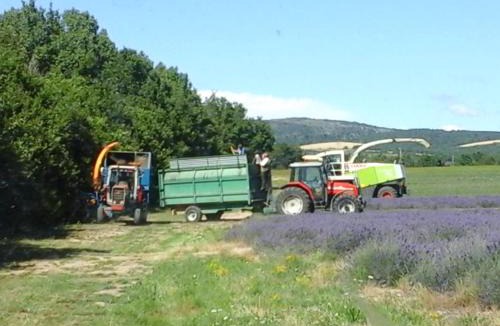 Le Barroux House | Chambre pour cyclistes au Mt Ventoux