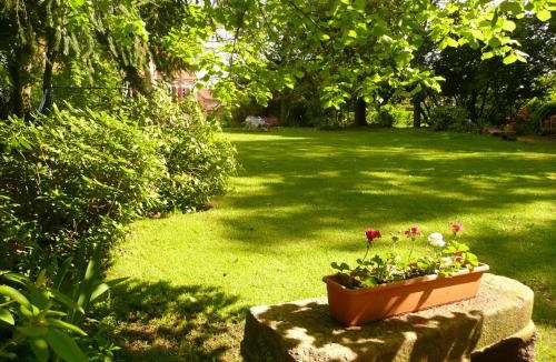 Le Breuil Bed & Breakfast | Chambres d'hôtes et Roulotte Au Bonheur Du Parc