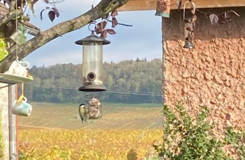 Le Vernois Bed & Breakfast | Chambres d'hôtes Le Relais de la Perle