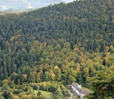 Murbach Hotel | Chambres d'hôtes - sauna & bien-être Logis Domaine Langmatt