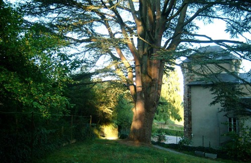 Saint-Honore-les-Bains Bed & Breakfast | Chambres d'Hôtes Castel Des Cèdres