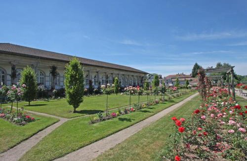 Chantraine House | Charmant Gîte avec Jardin aux Portes d'Épinal, Idéal Couples ou Séjours Pro, Proche Commerces et Nature - FR-1-589-278