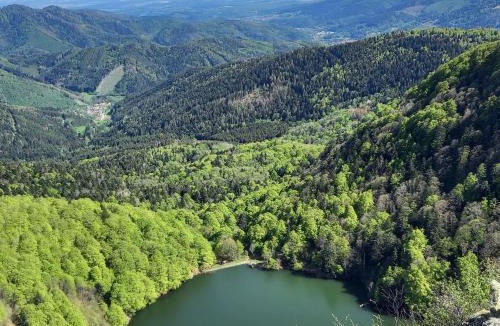 Rupt-sur-Moselle Apartment | Charmant gîte en montagne, 3 étoiles, proche randonnées et Alsace, tout confort avec terrasse. - FR-1-589-391