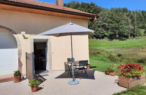 Rupt-sur-Moselle Apartment | Charmant gîte en montagne, 3 étoiles, proche randonnées et Alsace, tout confort avec terrasse. - FR-1-589-391