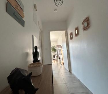 Saint-Jean-de Niost Apartment | Charmant T3 proche plaine de l’Ain