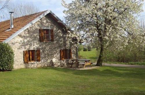 Saint-Bresson House | Charmante maison en pierre au cœur des Vosges - FR-1-583-436
