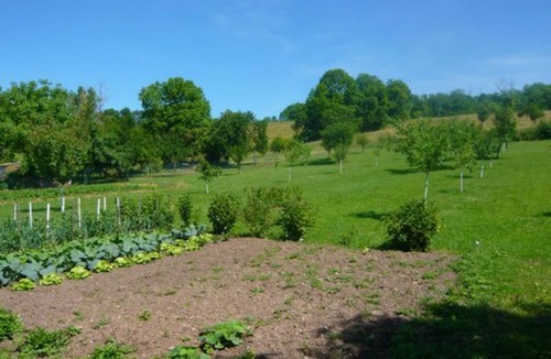 Velotte-et-Tatignecourt Cottage | Charming Modern Cottage with Fireplace, Billiards, and Private Terrace in Velotte-et-Tatignécourt