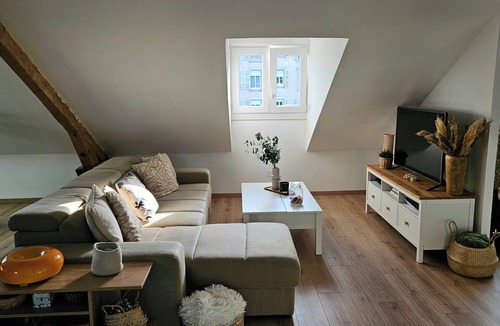 Vittel Apartment | Charming cocoon in the heart of the spa district