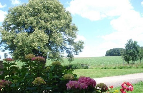 Esprels Cottage | Charming cottage with garden, near lake activities and hiking