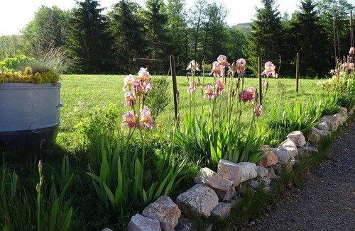 Gy Cottage | Charming house in Gy, 3 bedrooms, parking, wifi, nature and hiking