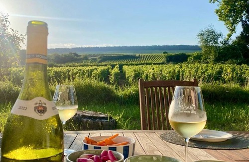 Ladoix-Serrigny House | Charming renovated villa with exceptional view on its vineyards (incl. Fan & AC)