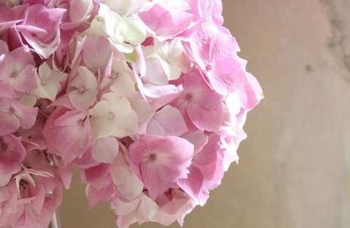 Chemilly Bed & Breakfast | Chateau Chemilly