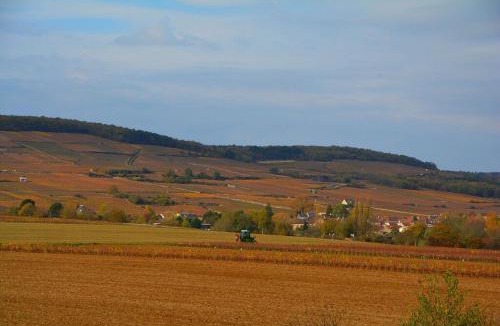 Ladoix-Serrigny Villa | Chateau des Barrigards