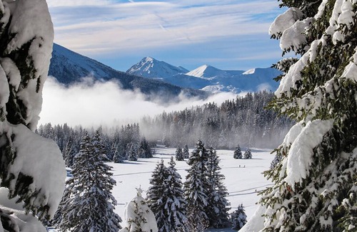 Vaulnaveys-le-Bas Bed & Breakfast | Chez Les Rés - T2 with garden in house near Uriage - Chamrousse
