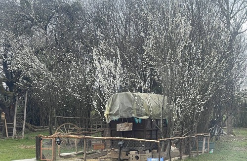 Courlans House | Club House Dans Mini Ferme Danimation et Refuge