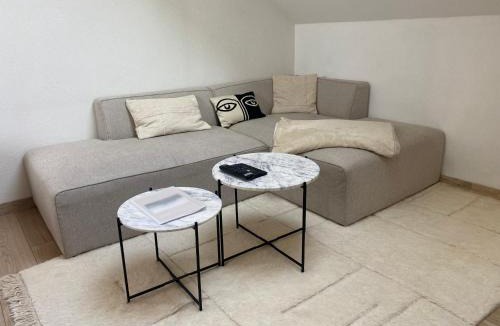 Pontarlier Apartment | Cocon Pontissalien