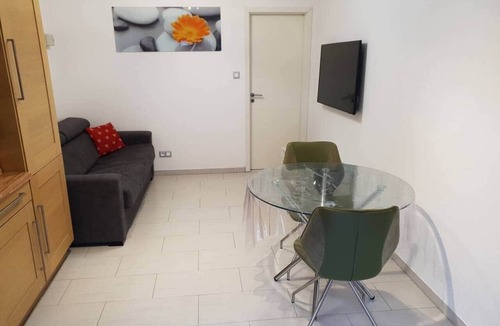 Quartier Saint-Leon Apartment | Colmar center, parking, terrace and air conditioning