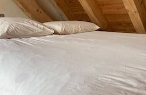 Leschaux Apartment | COSY STUDIO IN THE HEART OF THE BAUGES