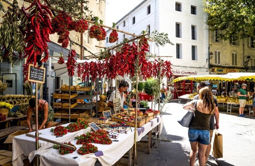 Saint-Didier House | COTTAGE UNDER THE OAKS-ENJOY THE PROVENCAL FLAVORS