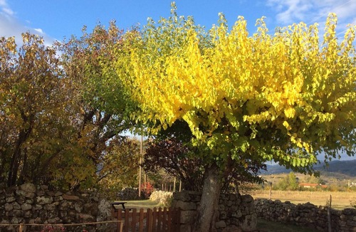 Ruisset Cottage | country holiday home - Colombier le vieux