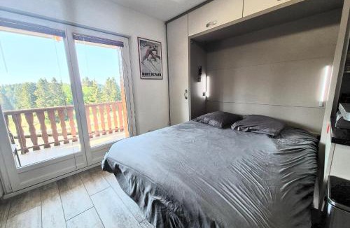 Les Deserts Apartment | Cozy apartment "WAPITI" at the foot of the slopes