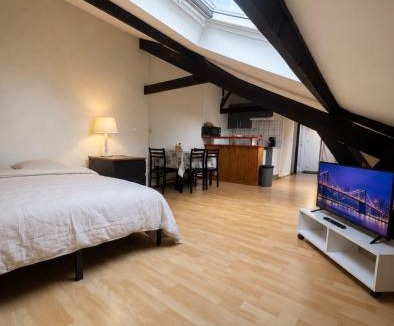 Besancon Apartment | Cozy studio proche gare Viotte