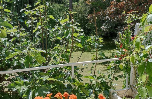 Narcy House | Detached House of 60m2, in a Village, at the Edge of a Small River
