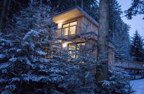 Fournet-Blancheroche House | Domaine de l'Authentique Cabanes dans les arbres