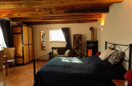 Vitrey-sur-Mance Apartment | Domaine de la Mance - Maisonnette avec cheminée, bain nordique en supplément