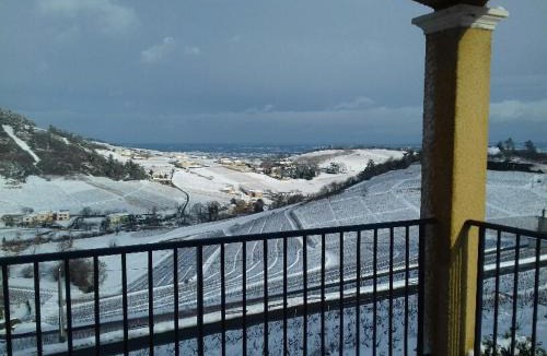 Fleurie House | Domaine Du Coteau Des Lys