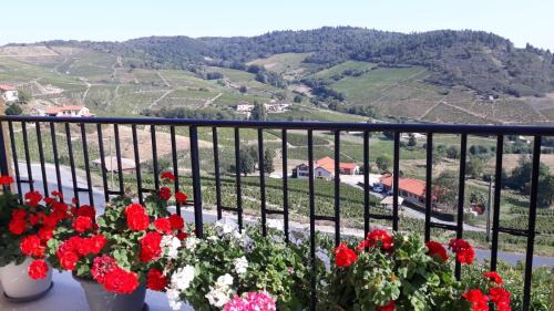 Fleurie House | Domaine Du Coteau Des Lys