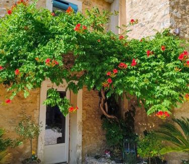 Saint-Paul-Trois-Chateaux House | Domaine du grand platane