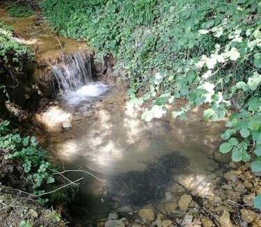Champagnat Apartment | Domaine Moulin de Quincenat