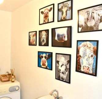 Saint-Lupicin Apartment | Duplex lumineux haut Jura