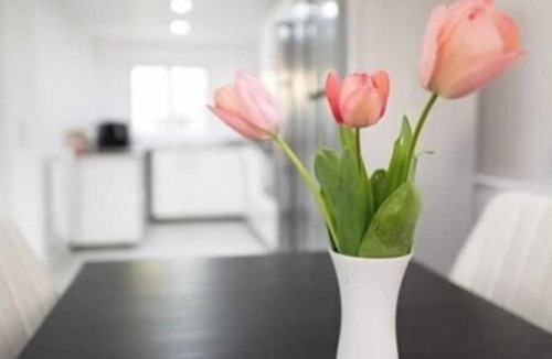 Mons - Plaine basse Apartment | Entire 2-bedroom apartment. At Zarius