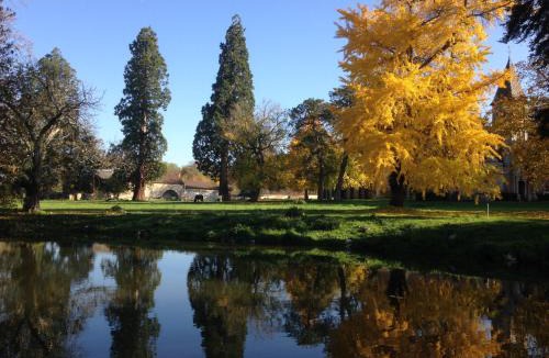 Bresse-sur-Grosne Bed & Breakfast | Escapade au domaine-Chateau de Bresse sur Grosne