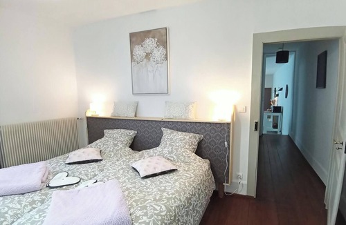 Luxeuil-les-Bains Apartment | F2 apartment with large terrace in historic center